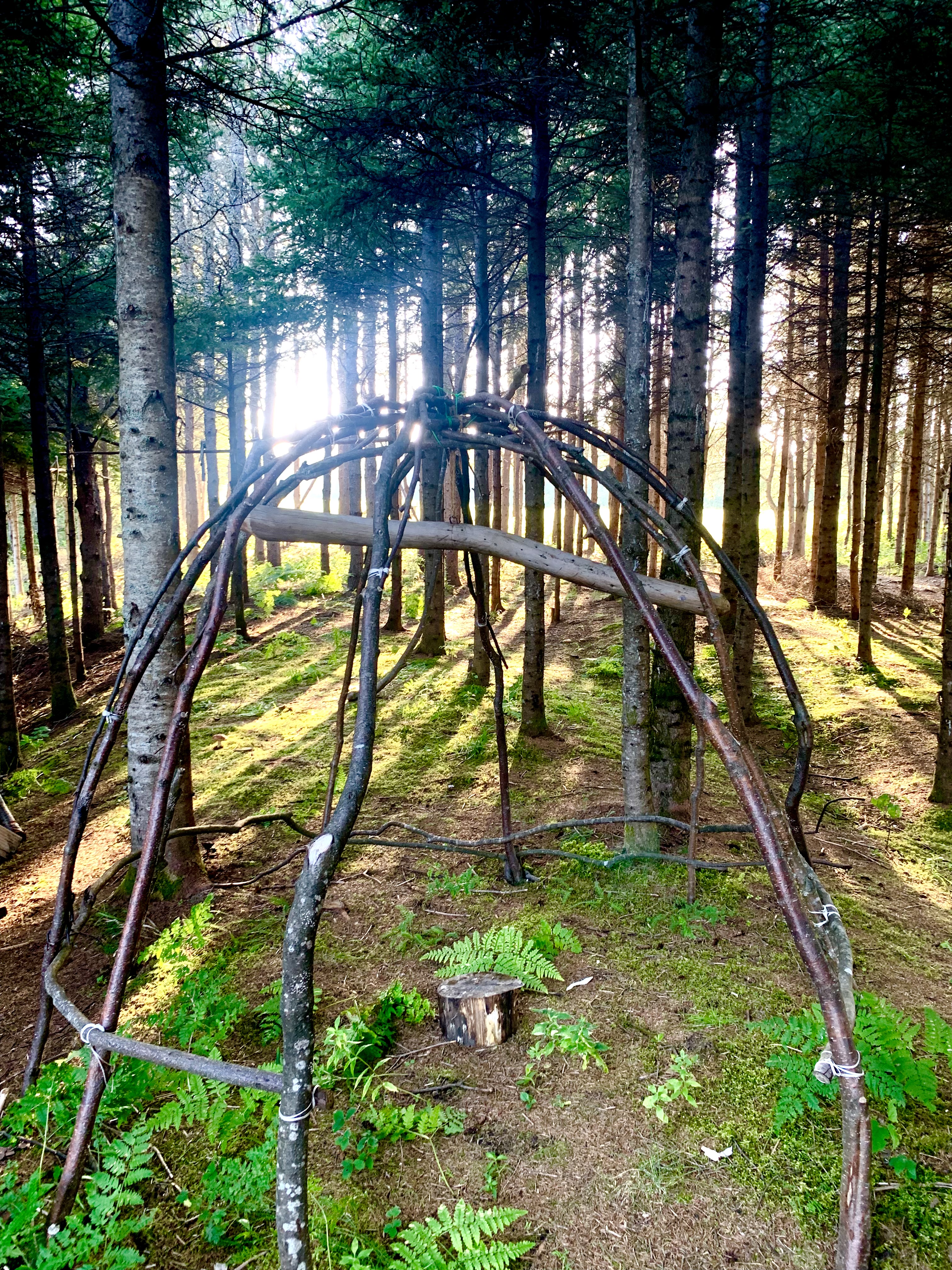 Au couché du soleil, vers le champs